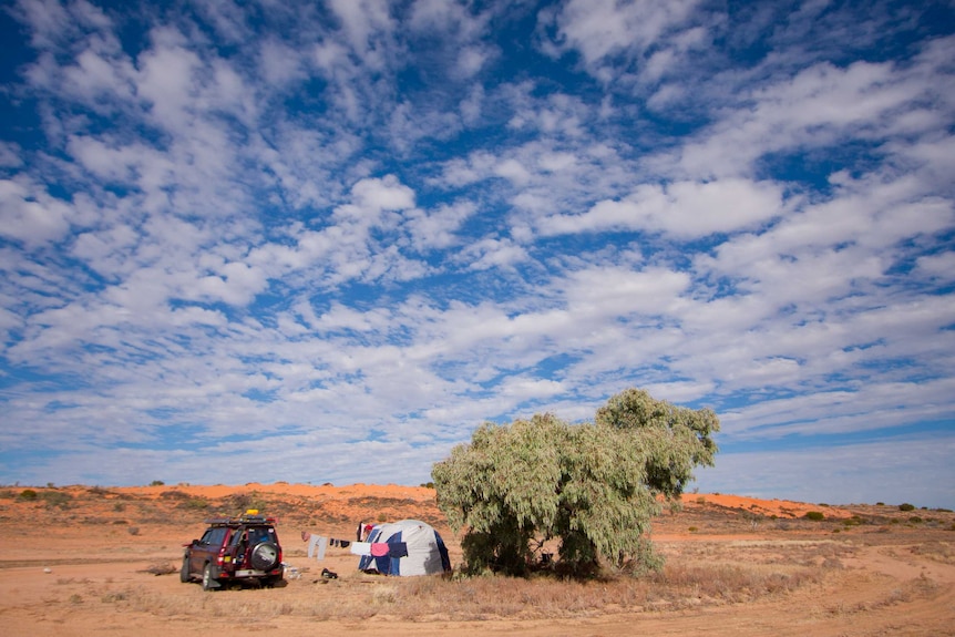 The family parks the car and sets up camp next to a tree in the middle of nowhere.