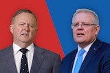 Graphic of Anthony Albanese and Scott Morrison on red and blue backgrounds.