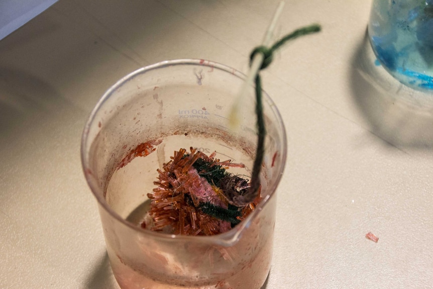 Image of red crystals growing inside a beaker.