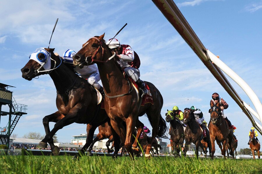 Trust In A Gust wins Rupert Clarke