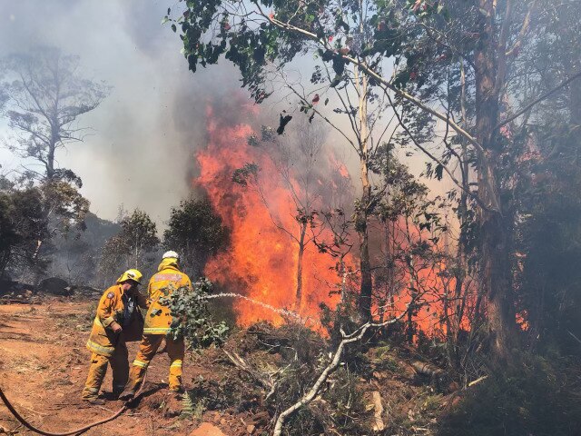 Two fire crew members holding a fire hose and directing it at a massive flame in bushlands.