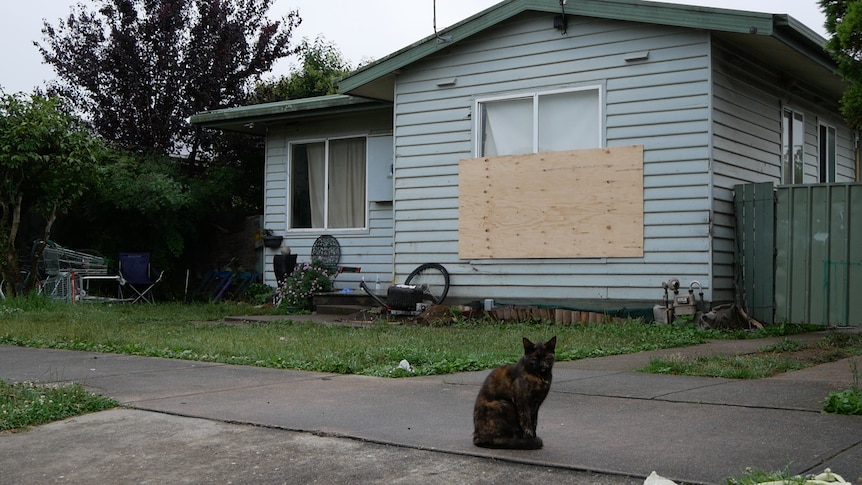 A cat sits in front of a derelict home