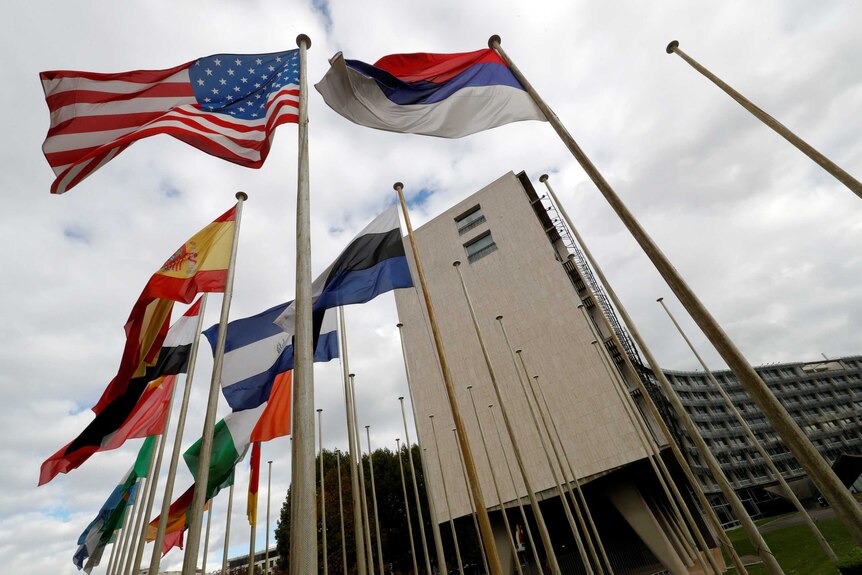 Flags wave outside the UNESCO building.
