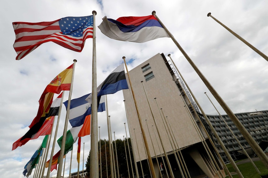 Flags wave outside the UNESCO building.