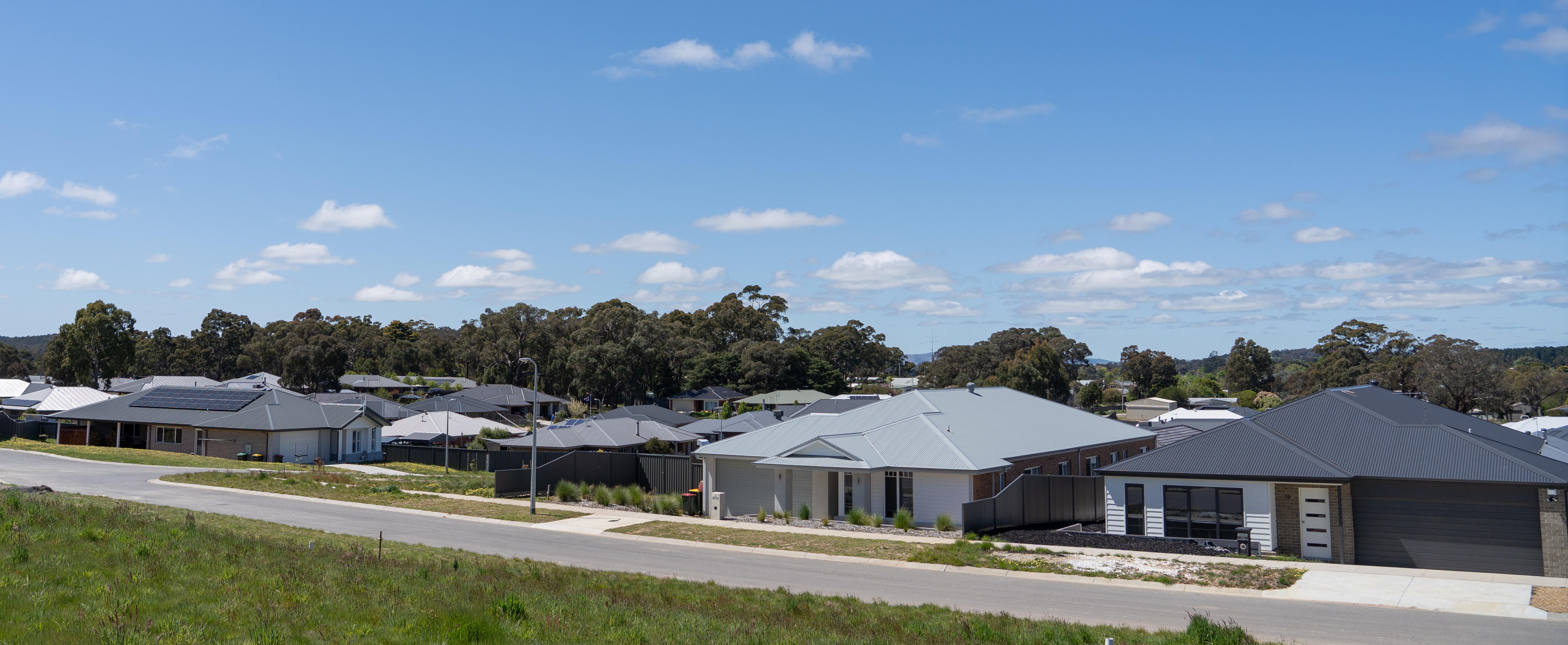 Houses with trees behind. 