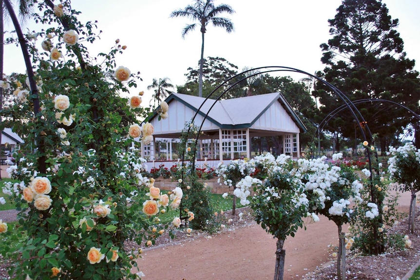 picture of a park with roses