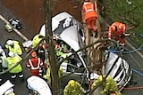 An aerial view of emergency workers cutting parts of a tree off a silver car, which is crumpled under the weight of the truck.