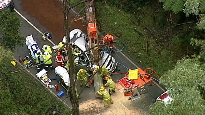 An aerial view of emergency workers cutting parts of a tree off a silver car, which is crumpled under the weight of the truck.