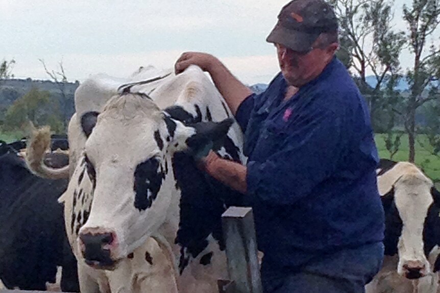  Fourth generation dairy farmer Errol Gerber from Lowood in Queensland's Lockyer Valley.  May 2014.