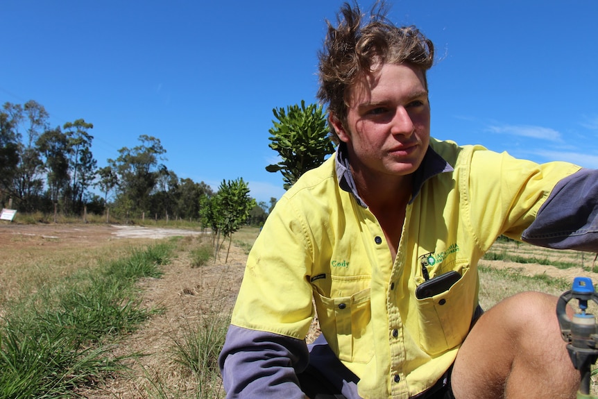 A young man in a yellow high-vis shirt crouches in a row of small trees, bush behind.
