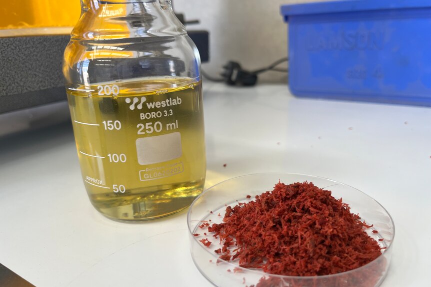 Pile of freeze-dried red seaweed with bottle of canola oil next to it