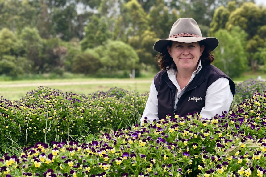 Cherie Hutchinson is the farm production manager at the Jurlique farm in the Adelaide Hills.