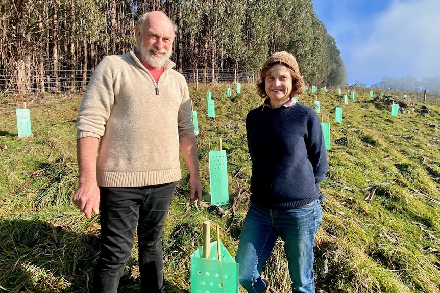 A man in a beige pullover  standing next to a woman with a blue pullover  on a farm with fresh tree plantings behind them.