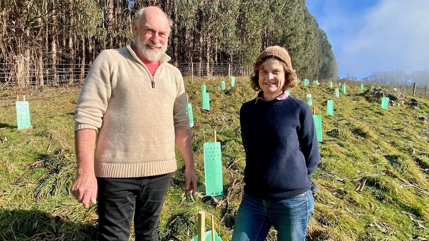 A man in a beige pullover standing next to a woman with a blue pullover  on a farm with fresh tree plantings behind them.