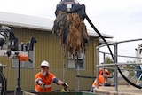 A crane lifts a disgusting brown mass of excrement and sanitary wipes with men in high vis helping