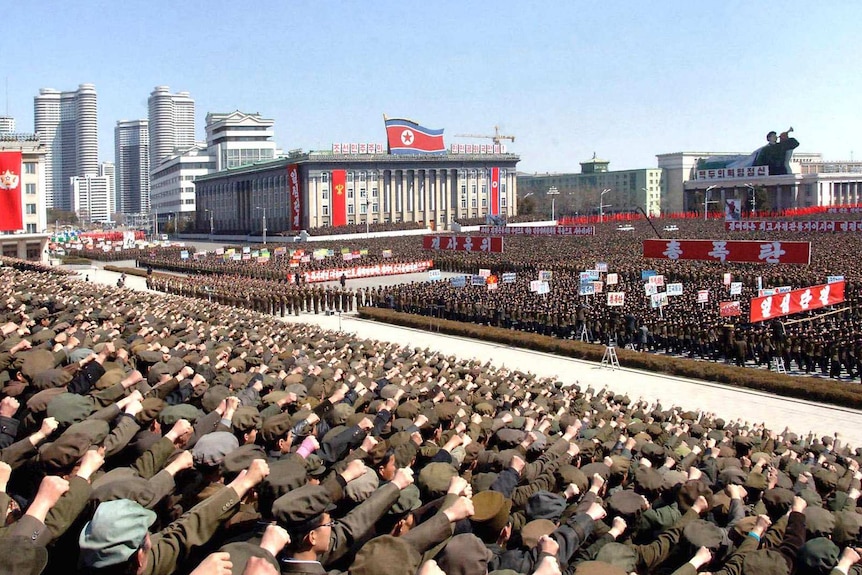 Kiara mia in Pyongyang