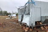 Chickens surround a badly damaged shed, while others lay dead on the ground nearby