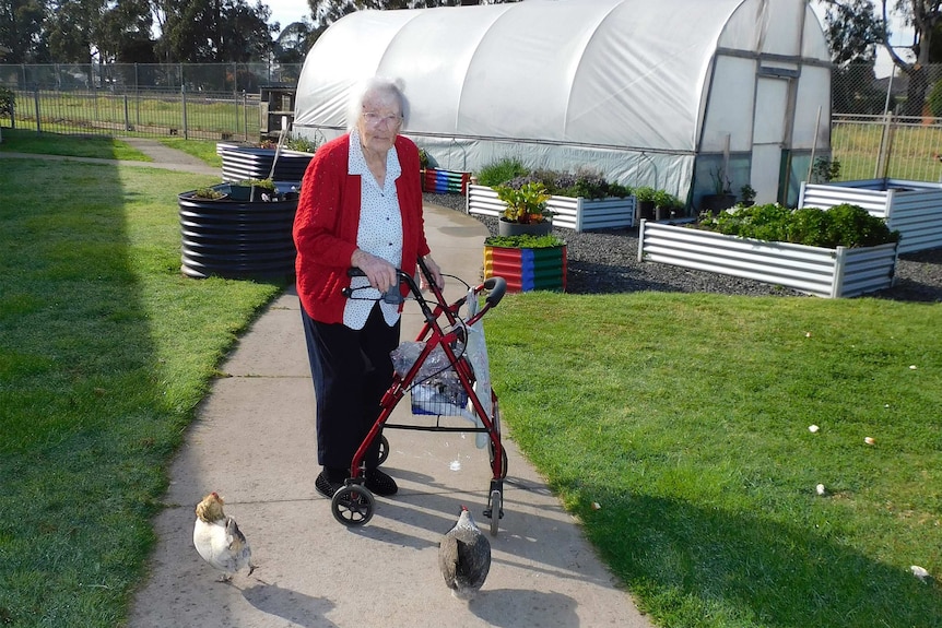 Avice Marsh pictured with her walking frame, as chickens walk past on the ground