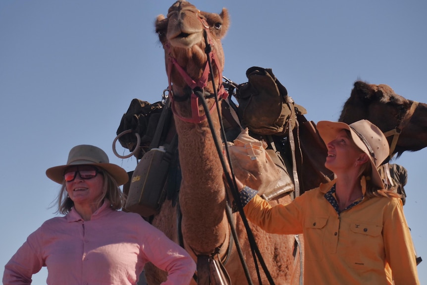 Two women wearing Akubra hats stand either side of a saddled camel in front of clear sky. Another camel waits in the background.