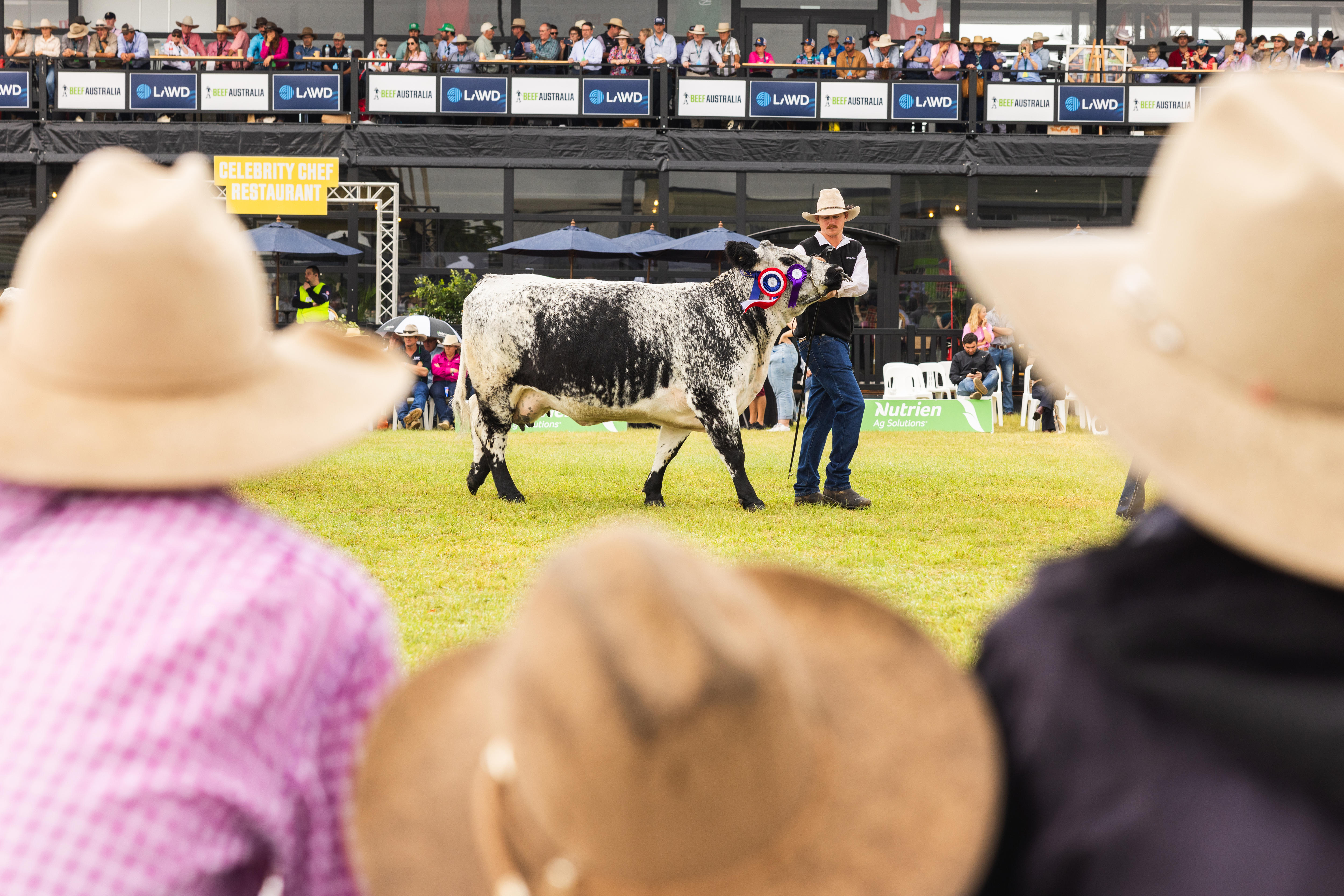 Tourism body slams 'disgusting price gouging' for beef expo beds