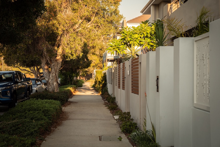 Mirrabooka street with footpath, verge and street trees.