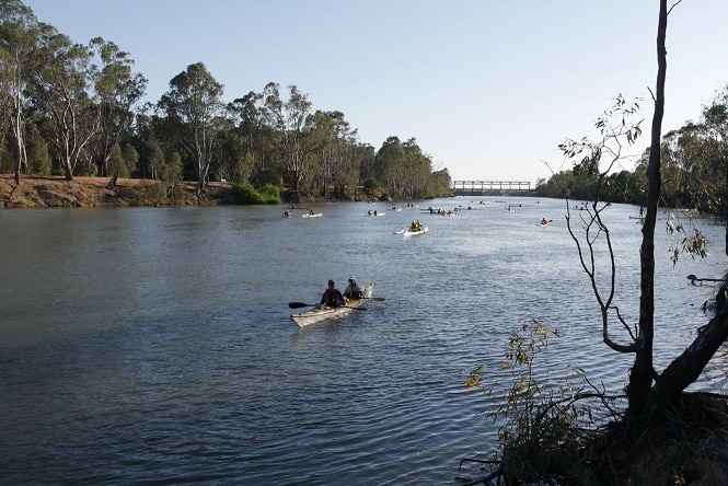 Paddlers on the Murray River