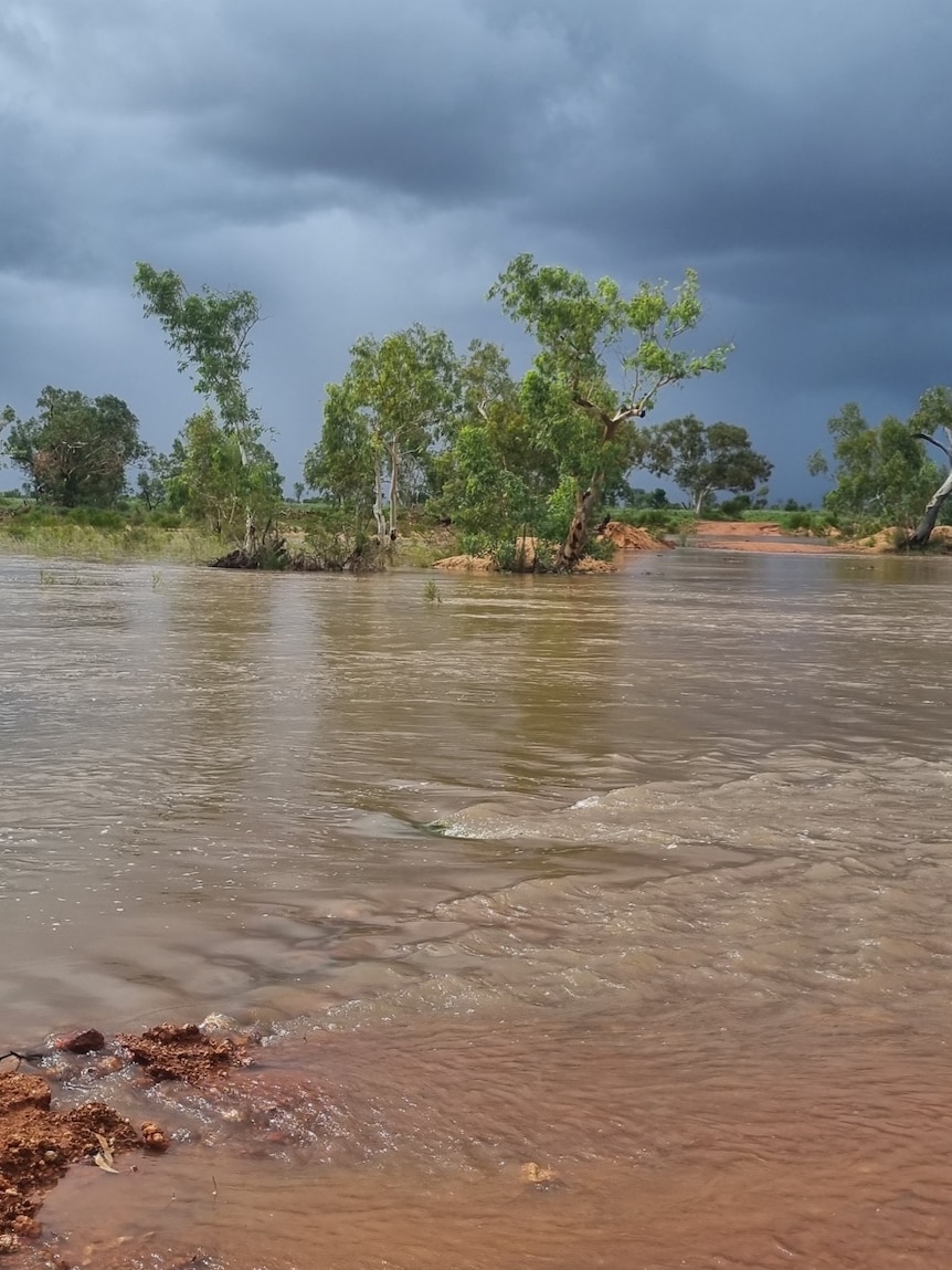 A river in a bush area overflowing,  with green trees and blue sky in the background. 