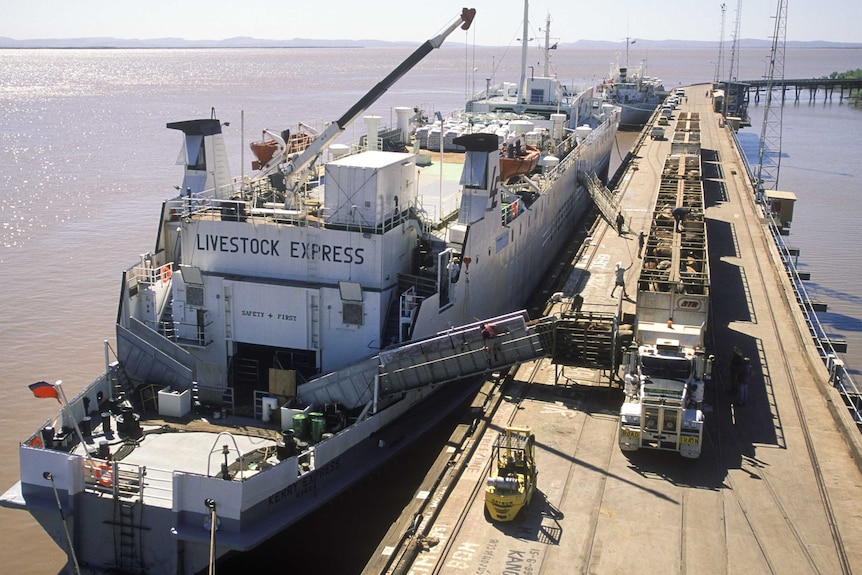 A live export ship being loaded with cattle at a port