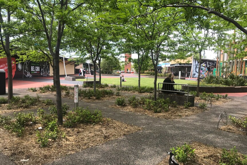 A magpie stands under trees outside of a shopping centre.