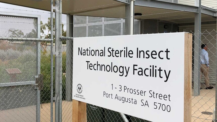 The exterior of the SIT facility in port augusta