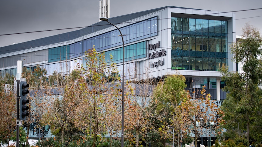 A white hospital building with blue and green windows, with green trees in front of it