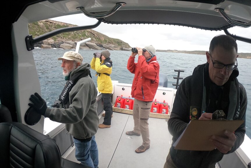 Three workers on back deck of boat looking at island, two using binoculars, another man with clipboard on left 