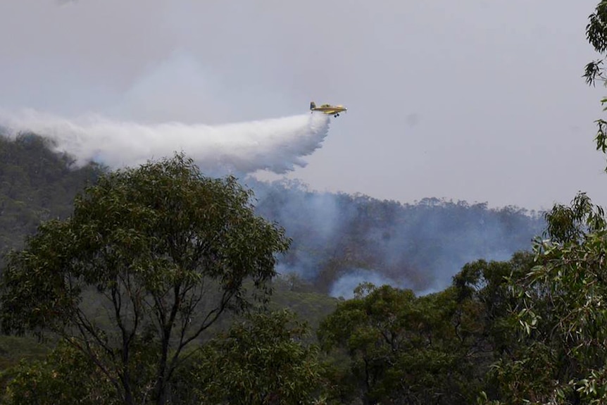 Bushfire emergency