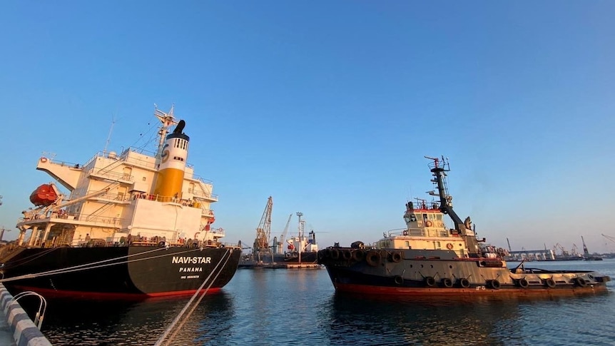The Panama-flagged bulk carrier Navi-star is seen in the sea port in Odesa