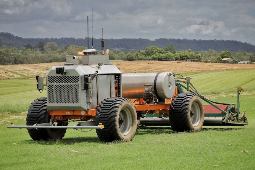 A grey and orange robot on bright green turf.