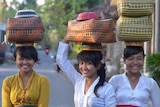 Three Balinese women taking offerings on the top of their head