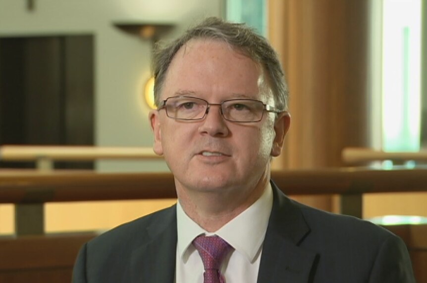 Woodside CEO Peter Coleman says it's a puzzling time for a tax review.