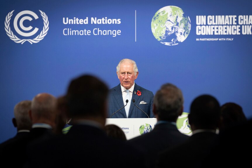 charles speaking at a lecturnw ith cop26 banner behind him, wearing blue suit with a poppy in the lapel