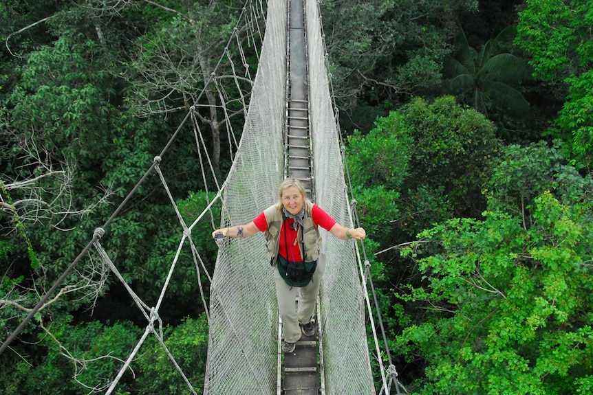 Meg Lowman on canopy walkway looking up