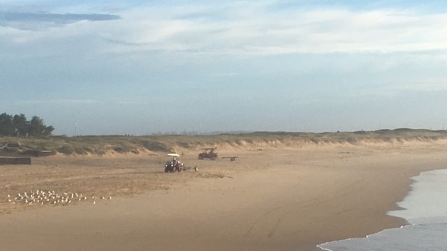 Vehicles search along Nobbys Beach at Newcastle for a missing Pakistani student