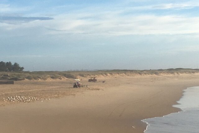 Vehicles search along Nobbys Beach at Newcastle for a missing Pakistani student