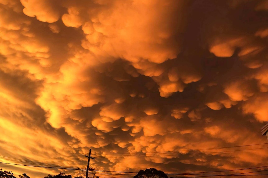 Mammatus clouds at sunset