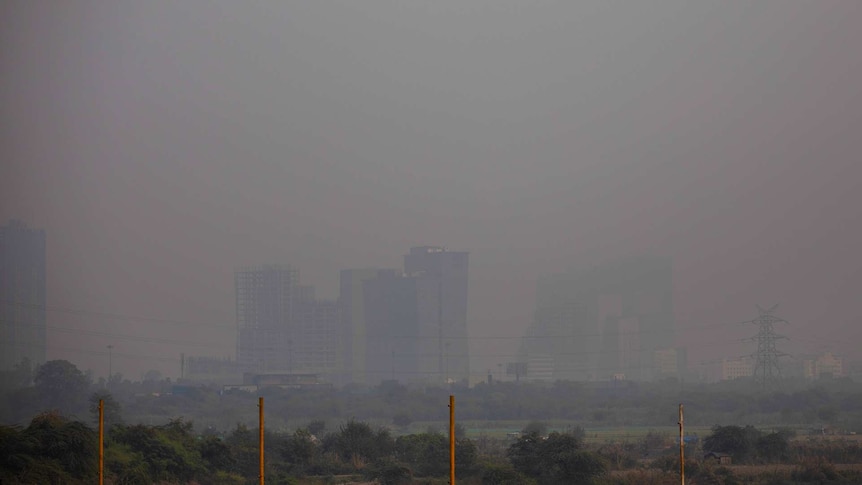 The New Delhi skyline is seen enveloped in toxic smog