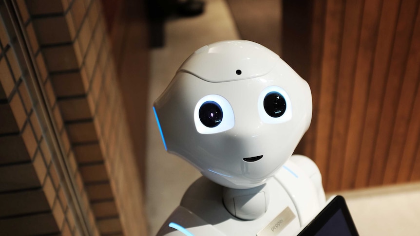 Photo of a small robot with a white body and black eyes looking at you