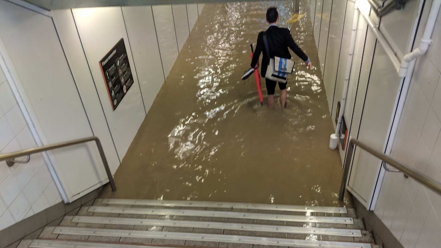 A man in a suit wades through waters in Sydney's flooded Lewisham station with his shoes and umbrella in hand.