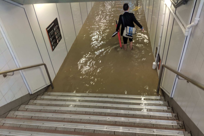 A man in a suit wades through waters in Sydney's flooded Lewisham station with his shoes and umbrella in hand.