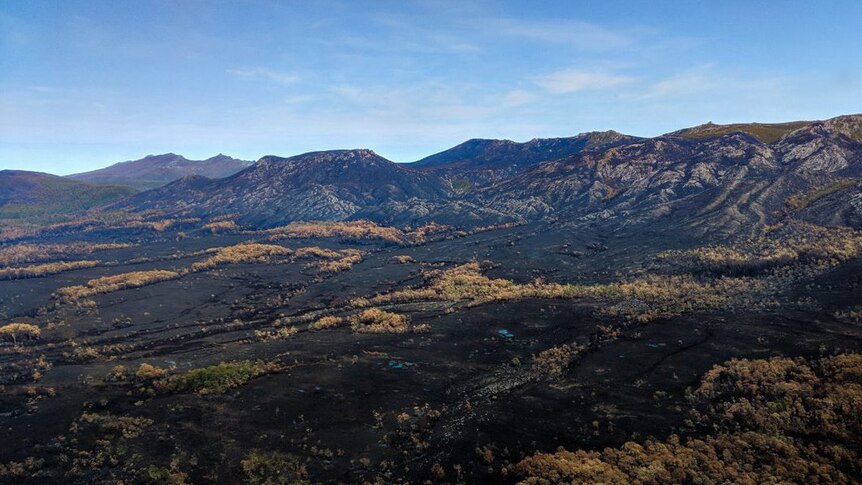 Black landscape in Tasmanian wilderness