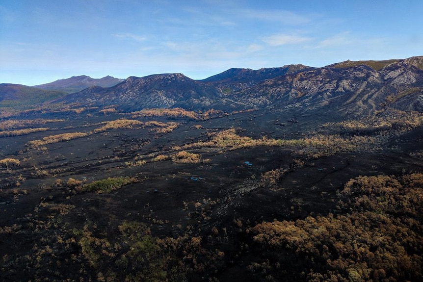 Black landscape in Tasmanian wilderness