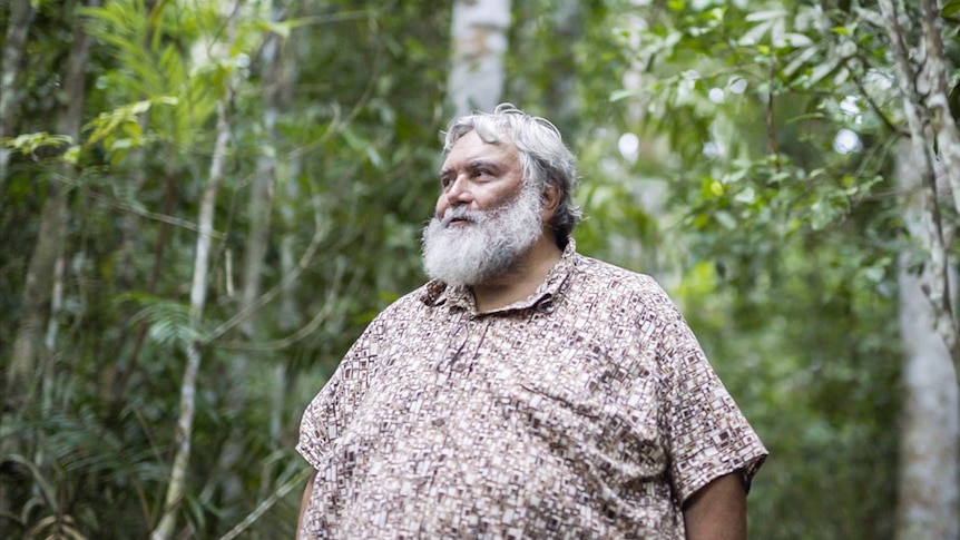 An Indigenous man with a white beard wears an artistic shirt and stands in the rainforest.