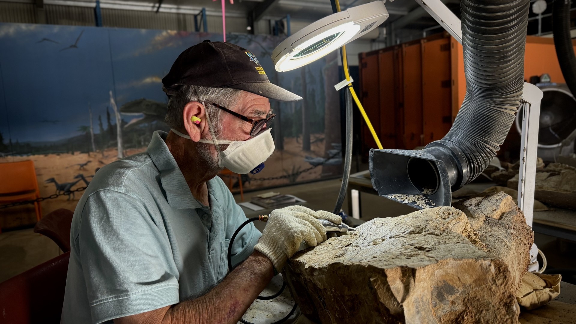 Citizen scientists work on 100-million-year-old fossil in outback Queensland